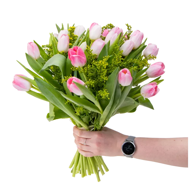 Bouquet of pink tulips